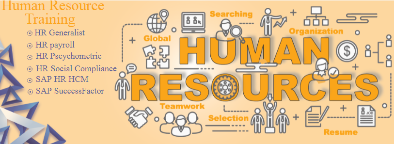 hr-course-in-delhi-for-developing-high-demand-hr-professional-skills-with-free-hr-analytics-sap-hcm-by-sla-consultants-india-big-0