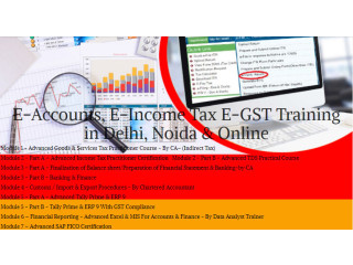 Accounting Course in Delhi for Achieving Career Growth in Leading MNCs by SLA Consultants India