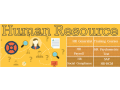 hr-training-in-delhi-free-sap-hcm-hr-analytics-with-ai-ms-power-bi-training-career-oriented-hr-program-by-sla-consultants-india-small-0